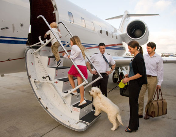 how much does it cost to fly a dog international