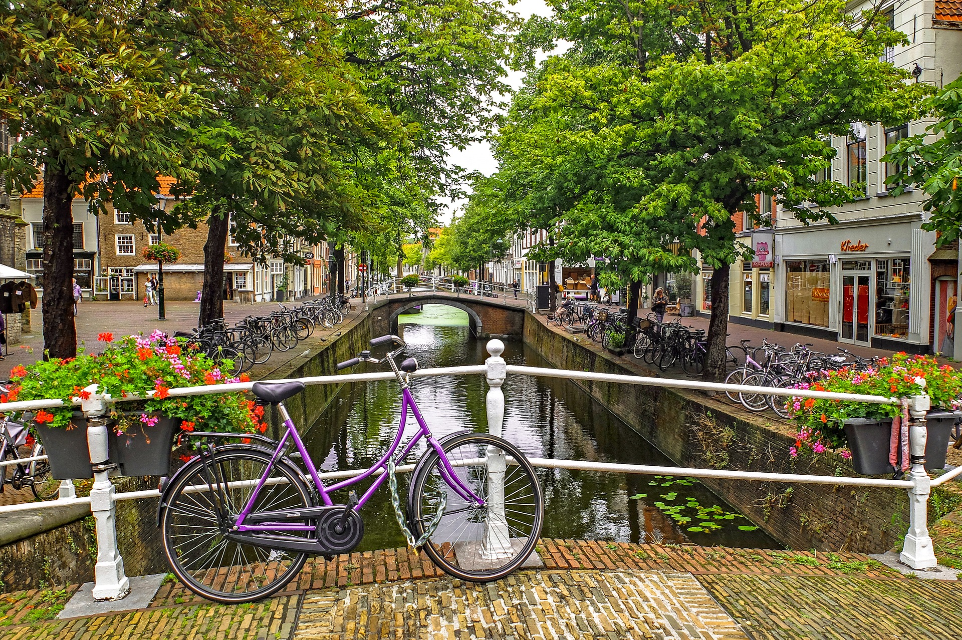 Emerald-Waterways-Canal | AardvarkCompare.com