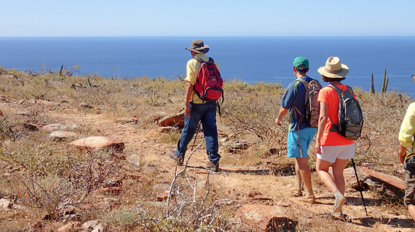 REI-Adventures-Hiking | AardvarkCompare.com